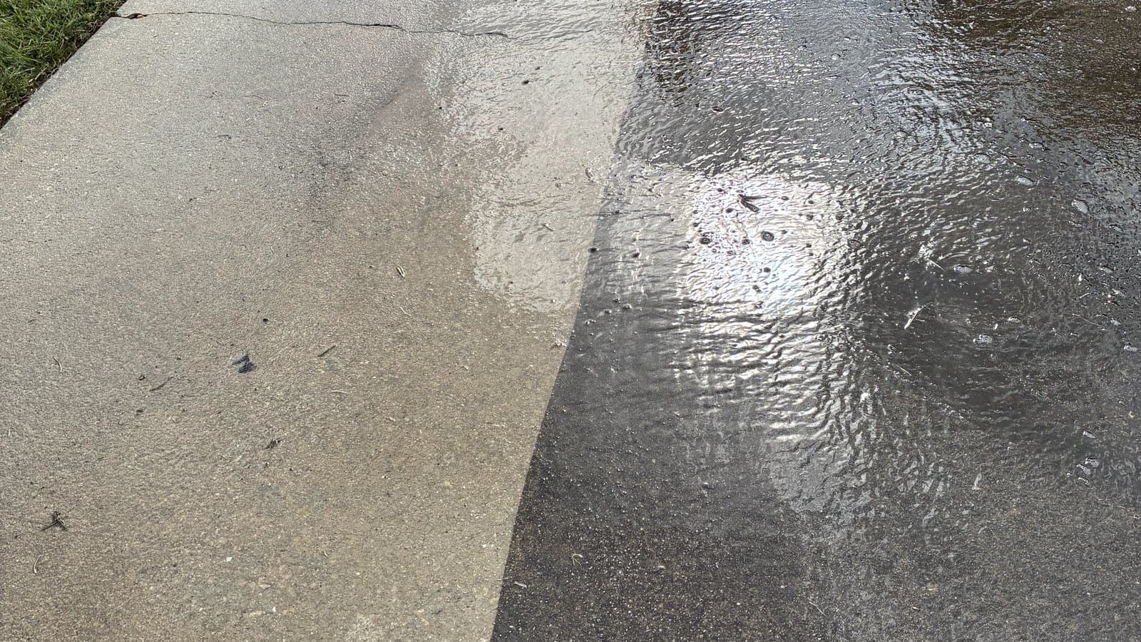 Driveway part-cleaned, with a straight surface-cleaner edge between the finished strip and the untreated slab