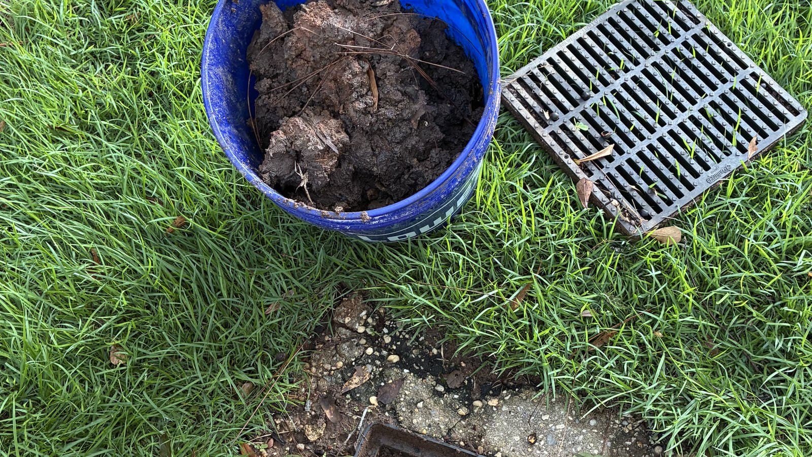 Catch basin opened on a lawn with the silt and leaf pack pulled out of it into a bucket beside the grate